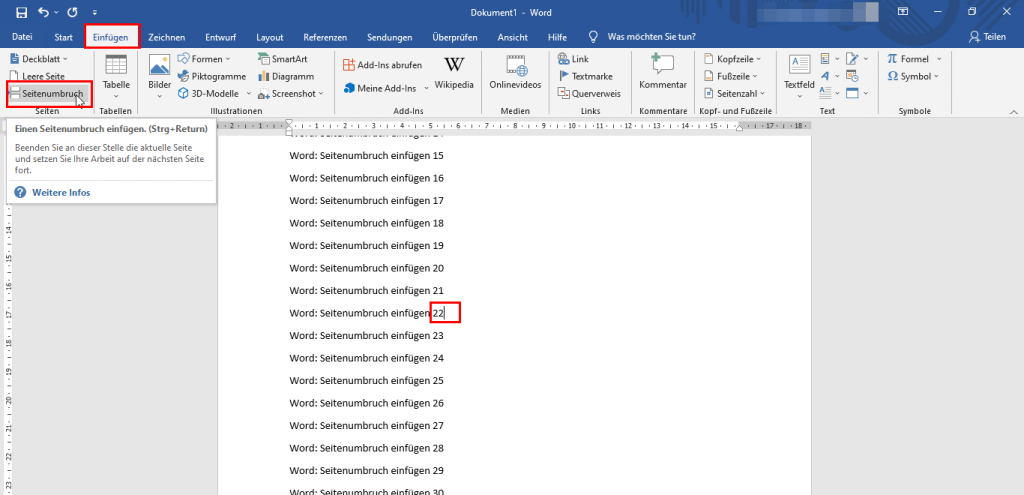 In Word einen Seitenumbruch einfügen